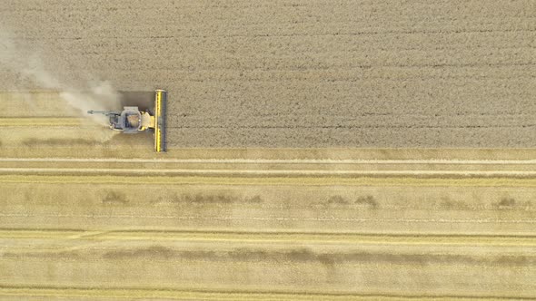 Aerial shot of combine harvester machine harvesting wheat