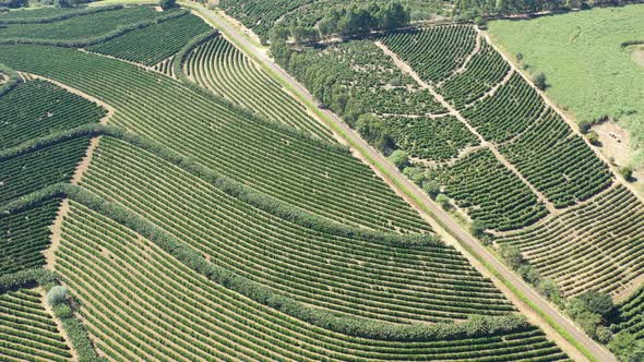 Rural landscape aerial view. Nature scenery alt