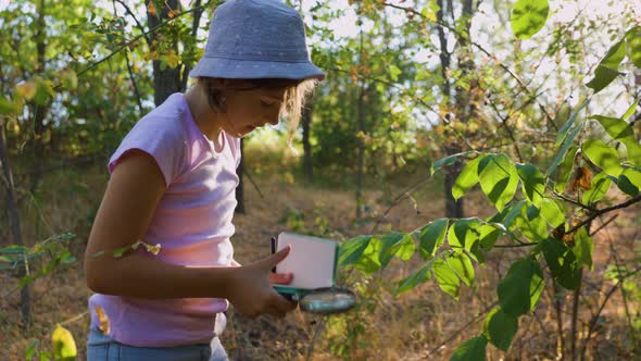 Naturalist Children Girl with Loupe Studying Learning Nature Outside and Makes Notes in Notebook alt