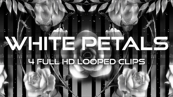 White Petals VJ Loop