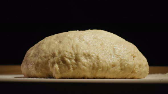 Timelapse Yeast Dough Increases in Size alt