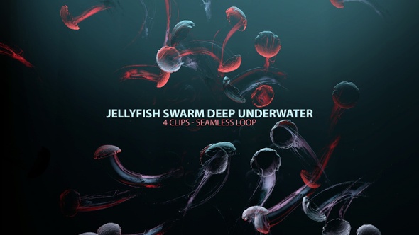 Jellyfish Swarm Deep Underwater