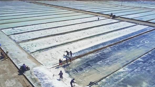 People Gather Salt To Heaps on Field Sides with Shovels alt