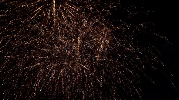 Amazing Holiday Fireworks in the Night of Independence Day alt