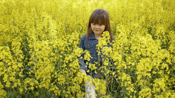 Cute Happy Little Girl 6-8 Years Old Walking in the Summer in a Yellow Canola Field alt