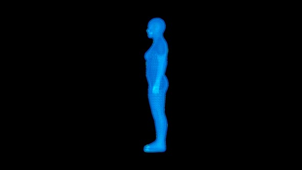 Animated 3D Female