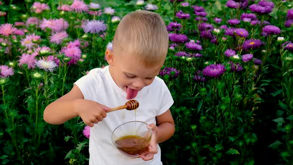 The Child Eats Honey in the Summer alt