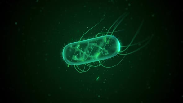 E. Coli Bacteria Floating  alt