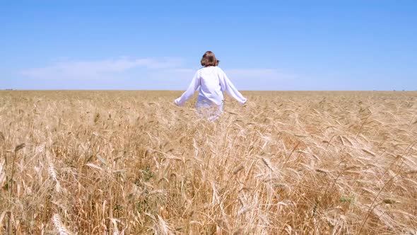 Woman walks on wheat field. Wheat swaying in the wind