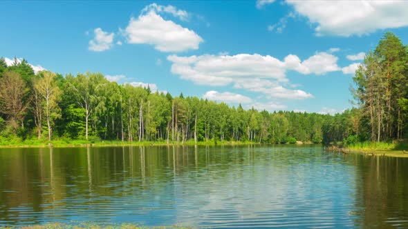 Forest Lake and Blue Sky at Sunny Day