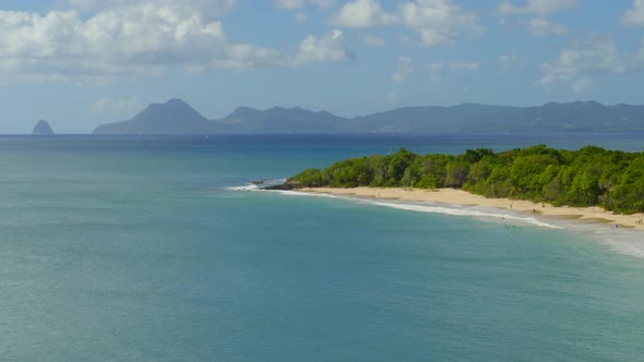 Aerial of beautiful sea and green trees on coast alt