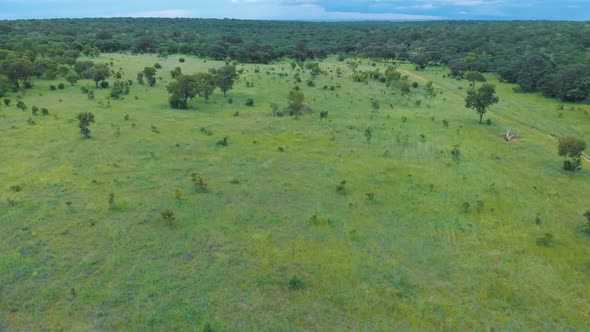 Aerial drone view of savannah inside the Chobe National Park in Botswana