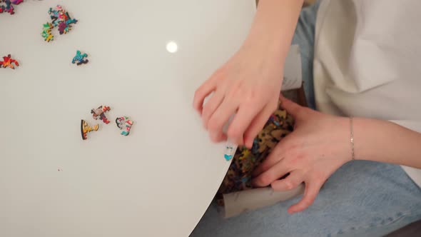 Female Hands Collect Puzzle Pieces From the Table Into a Box alt