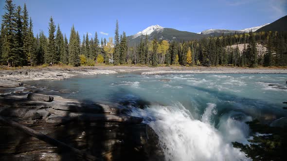 Sunny Autumn View of the Athabasca River and Athabasca Fall