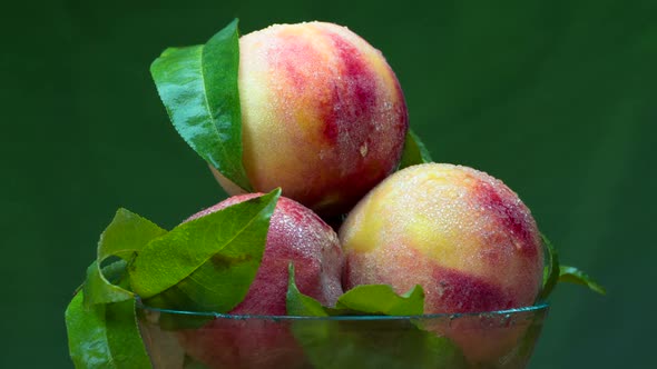 Four Peaches With Foliage