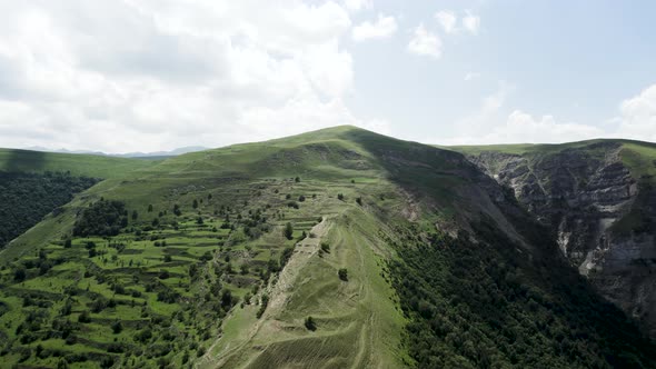 Majestic mountain aerial landscape with pine forest alt