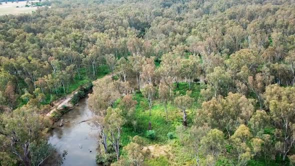 Aerial view over the Ovens River at Peechelba, where it enters the River Murray, in north-east Victo alt