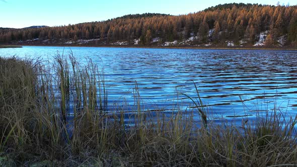 Landscape With Blue Lake And Dry Grass alt