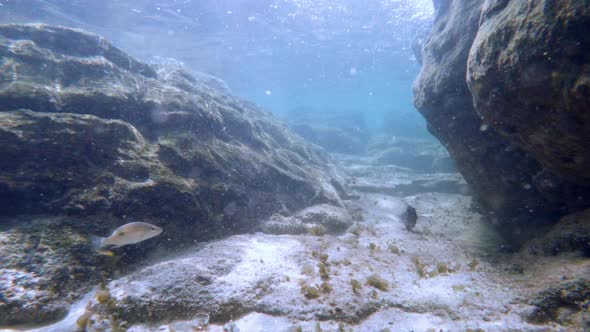Sun Rays Sun Beams Underwater. Underwater Shot of Ecosystem and Ocean Floor in Turquoise Ocean.