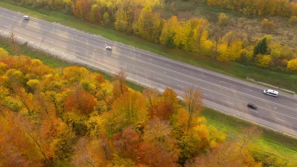 Top View of Traffic on a Highway Surrounded By Bright Autumn Forest. alt