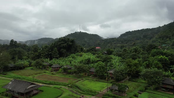 Aerial view of paddy field and rural village in valley, Chiang Mai, Thailand by drone