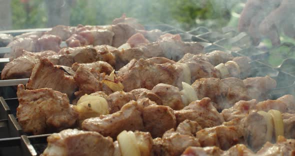 Shashlik or Shish Kebab Frying on Barbeque Flame Popular in Eastern Europe and Russia