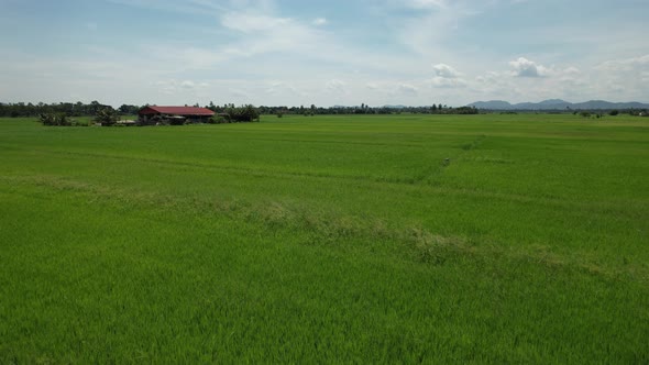 The Travel Heaven of Langkawi, Malaysia alt