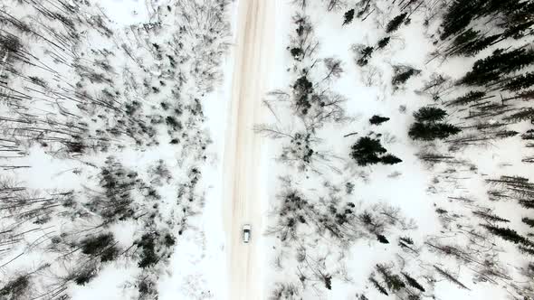 road in snow-covered forest