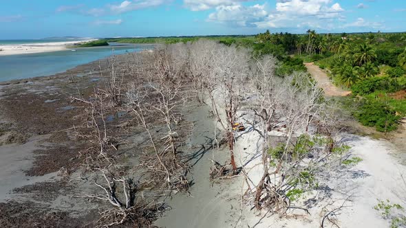 Jericoacoara Brazil. Tropical scenery for vacation travel at northeast Brazil. alt