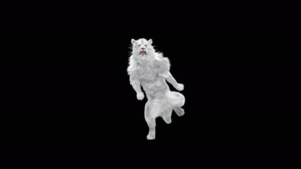 White Lion Dancing 4K alt