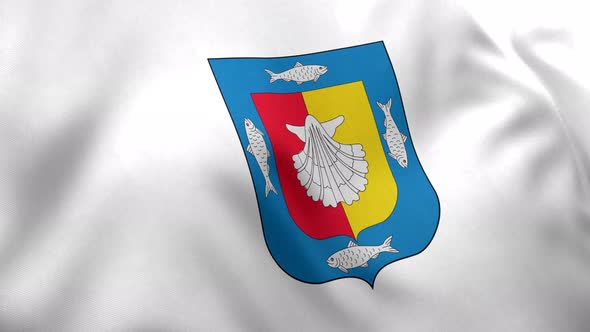 Baja California Sur Flag (Mexico) - 4K alt