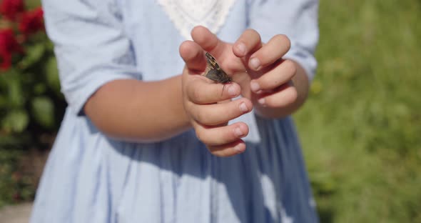 In The Hand Of A Little Girl Colorful Butterfly