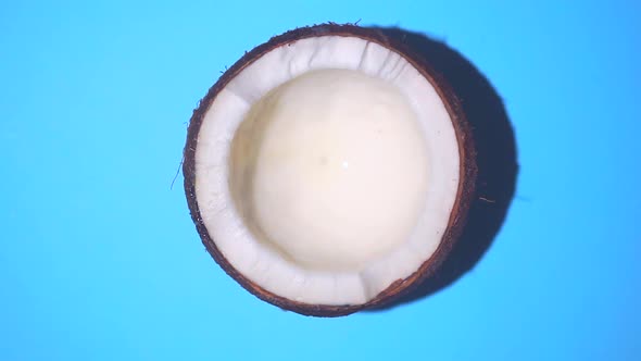 Coconut Rotates on a Blue Background alt