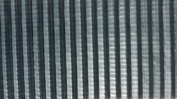 Aerial Drone View of Huge Areas Greenhouse for Growing Strawberries alt