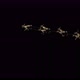 Santa Fly - VideoHive Item for Sale