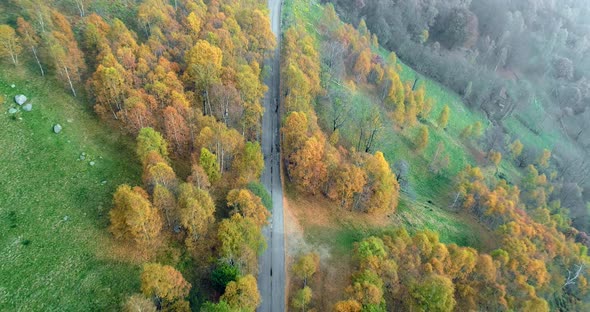 Backward Discover Aerial Top View Over Road in Colorful Countryside Autumn Forest
