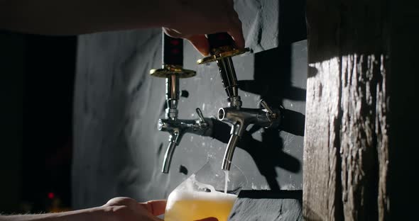 Barman Pours Unfiltered Light Beer From the Beer Tap to the Glass in Slow Motion Pouring Wheat Beer alt