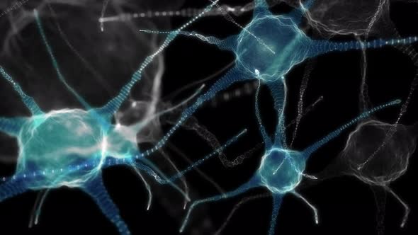 Neuronal Network of Neuron Cells