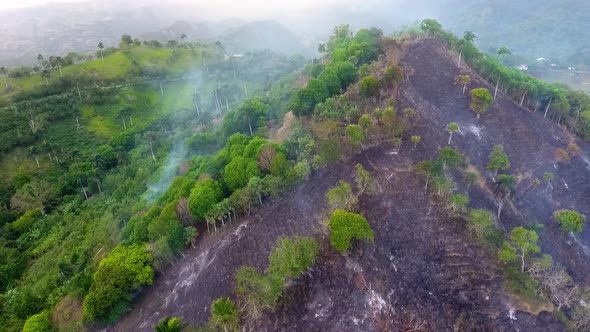 Aerial view of rain forest deforestation, vanishing woods in Amazon, Brazil - Tracking, drone shot alt