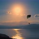 Flight of the at the Sunset - VideoHive Item for Sale