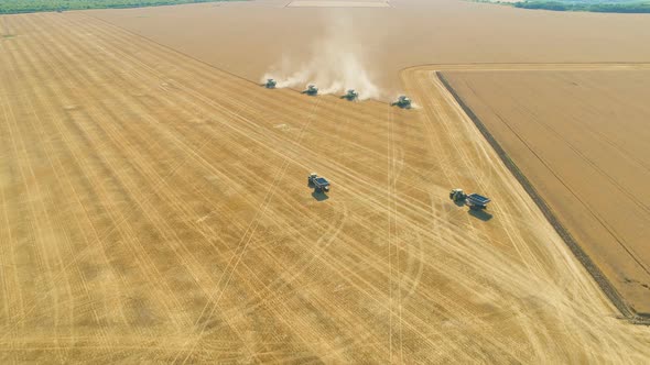 Four Harvesters Combining on a Prairie Landscape in Formation. Harvesting Wheat Field Aerial View alt