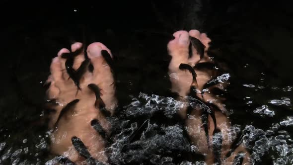 Garra Rufa fish foot care with natural peeling and massage for beauty therapy. alt