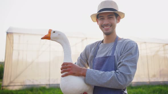 Happy Asian male farmer owner working in his own greenhouse farm with happiness in evening sunset. alt