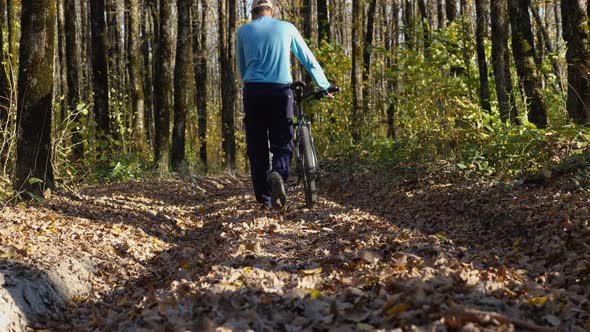 Back view. A man is rolling his bicycle along a forest road studded with foliage alt