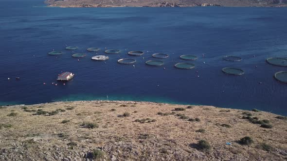 Fish Farm at Mediterranean Sea alt
