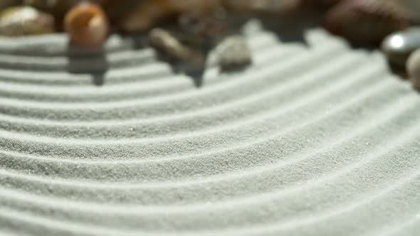 Seashells On Undulating Sand