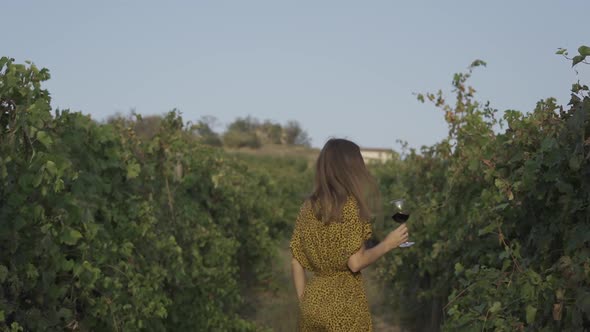 Beautiful Young Woman Run Through The Vineyards With Glass Of Wine