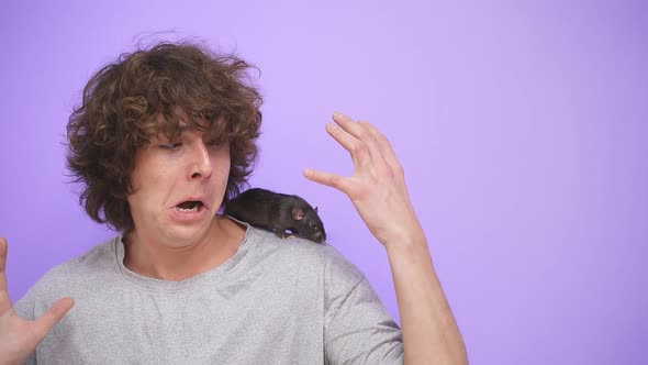 Closeup of a Frightened Young Man with a Pet Rat on an Isolated Purple Studio Background