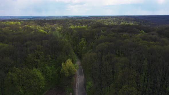 Beautiful Forest Landscape Aerial Top View