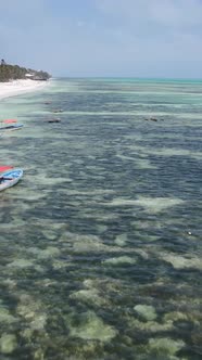 Vertical Video Boats in the Ocean Near the Coast of Zanzibar Tanzania alt